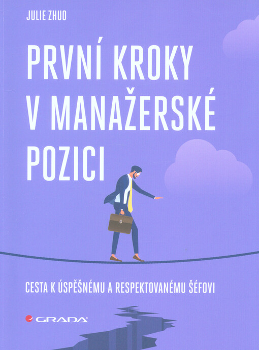 První kroky v manažerské pozici : cesta k úspěšnému a respektovanému šéfovi