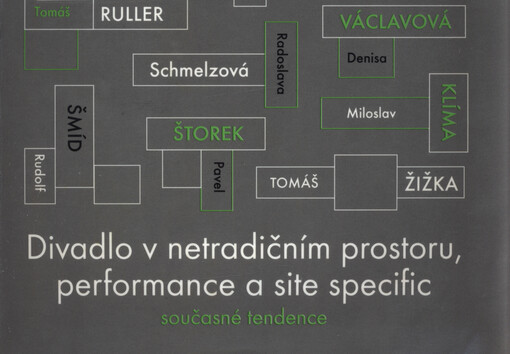 Divadlo v netradičním prostoru, performance a site specific: současné tendence : [úvodní publikace]
