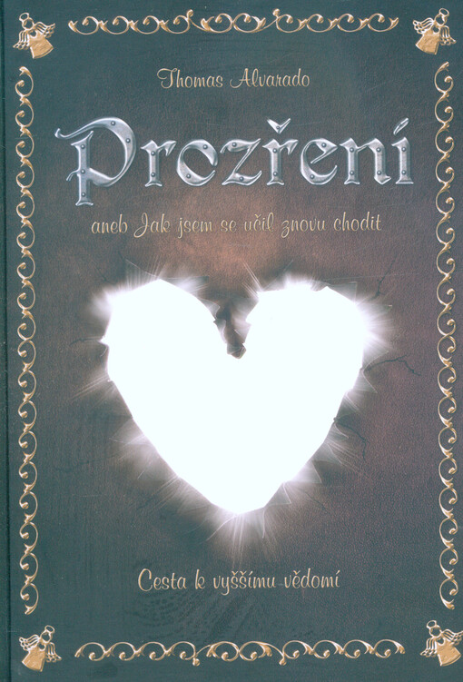 Prozření, aneb, Jak jsem se učil znovu chodit : cesta k vyššímu vědomí