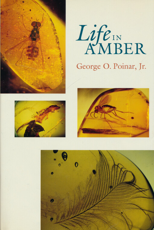 Life in amber