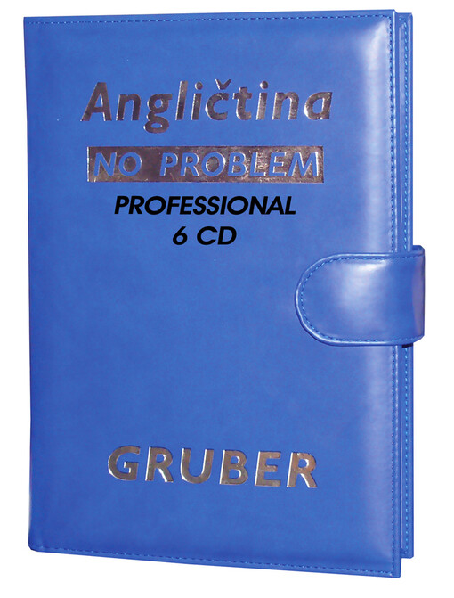 Angličtina - no problem, Professional