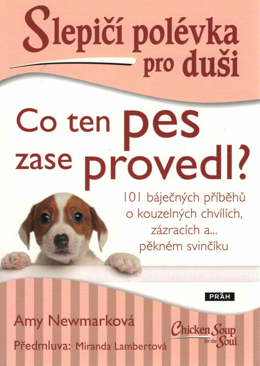 Slepičí polévka pro duši : co ten pes zase provedl? : 101 báječných příběhů o kouzelných chvílích, zázracích a... pěkném svinčíku