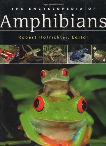 Amphibians : the world of frogs, toads, salamanders and newts   
