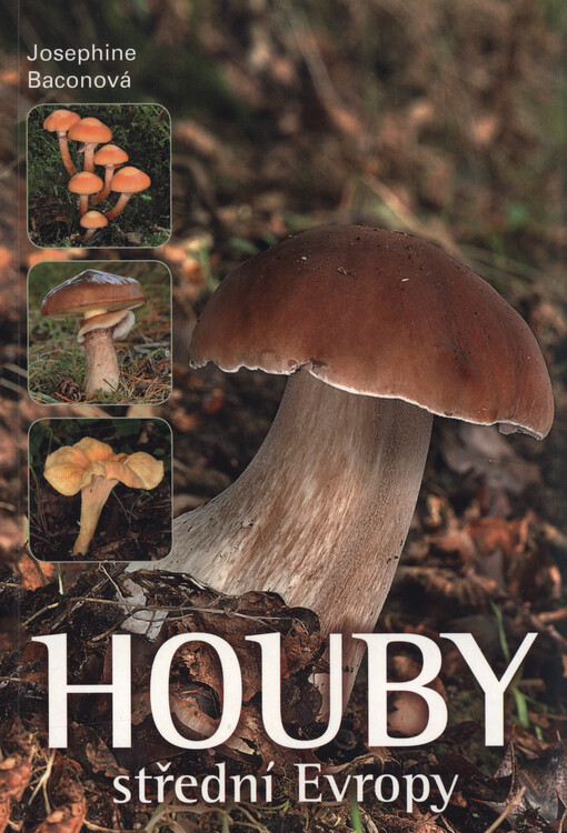 Houby střední Evropy