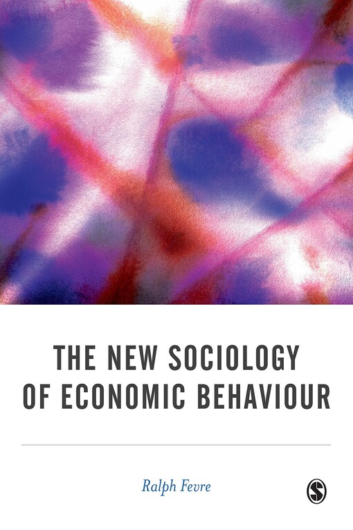 The New Sociology of Economic Behaviour (BSA New Horizons in Sociology)