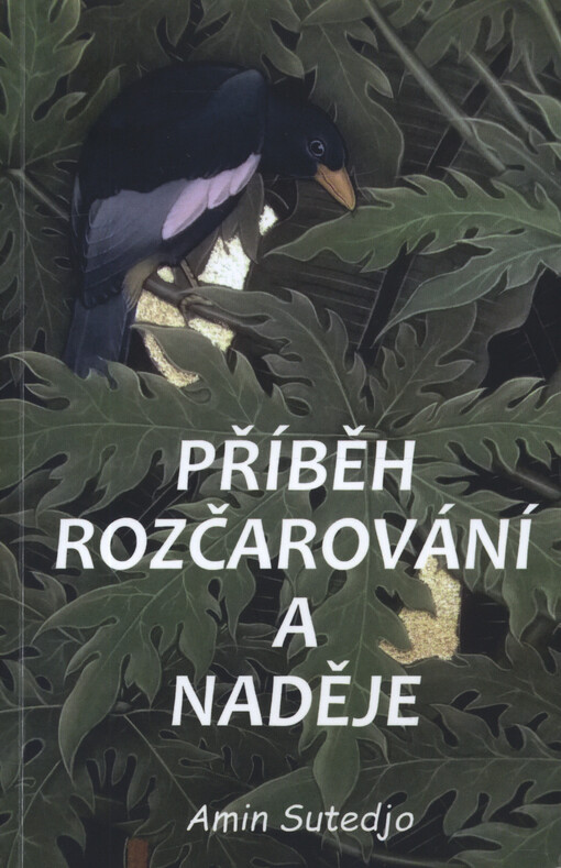 Příběh rozčarování a naděje