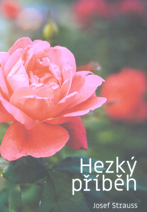 Hezký příběh