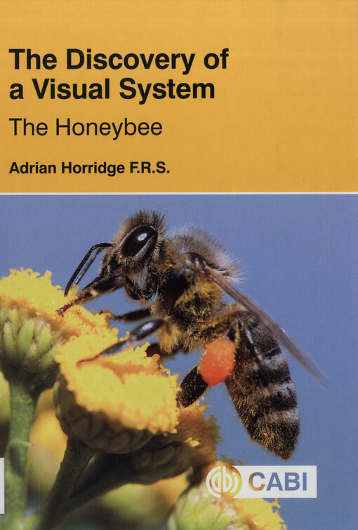 The discovery of a visual system : the honeybee : light guides, optics, visual cues, optic flow, route finding