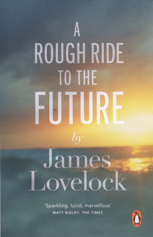 A rough ride to the future