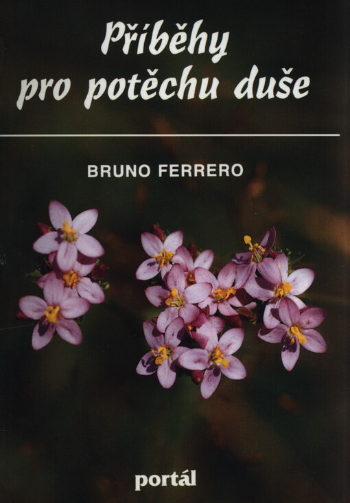 Příběhy pro potěchu duše, 4. vyd.