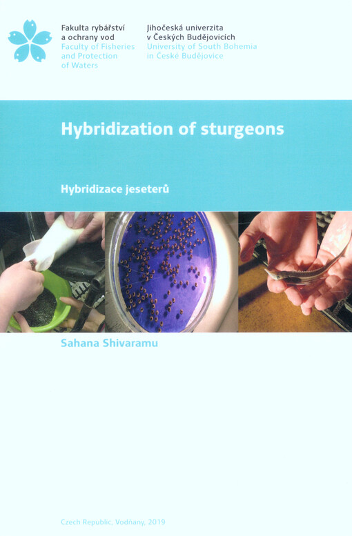 Hybridization of sturgeons = Hybridizace jeseterů