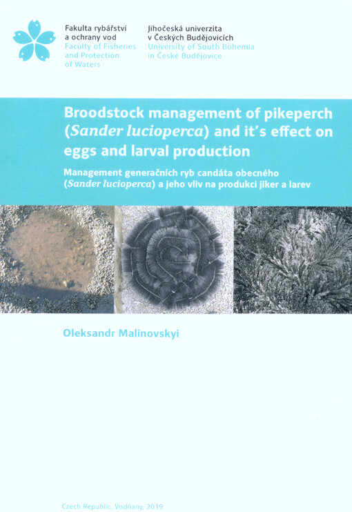 Broodstock management of pikeperch (Sander lucioperca) and it's effect on eggs and larval production = Management generačních ryb candáta obecného (Sander lucioperca) a jeho vliv na produkce jiker a larev