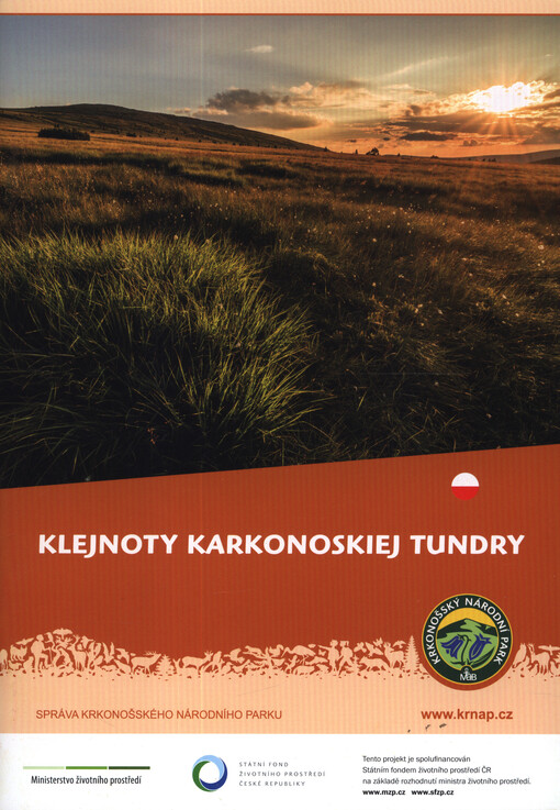 Klejnoty karkonoskiej tundry