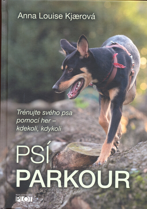 Psí parkour