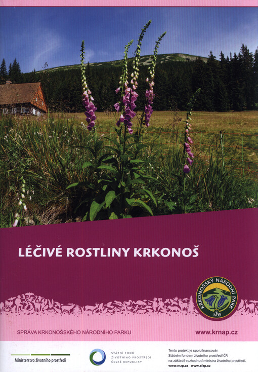 Léčivé rostliny Krkonoš