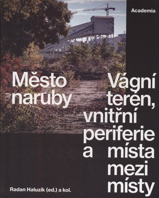 Město naruby : vágní terén, vnitřní periferie a místa mezi místy