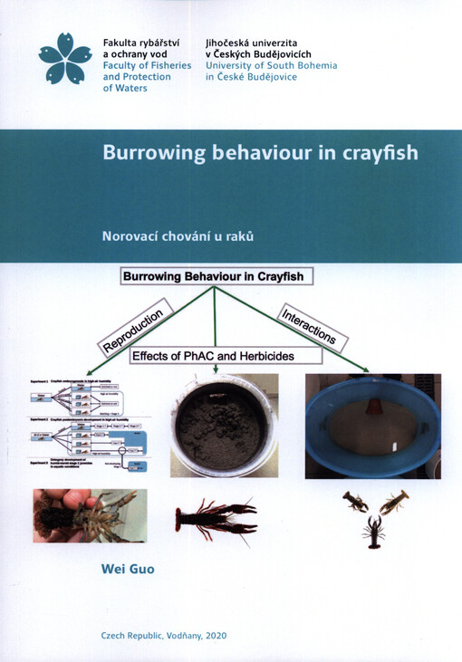 Burrowing behaviour in crayfish = Norovací chování u raků