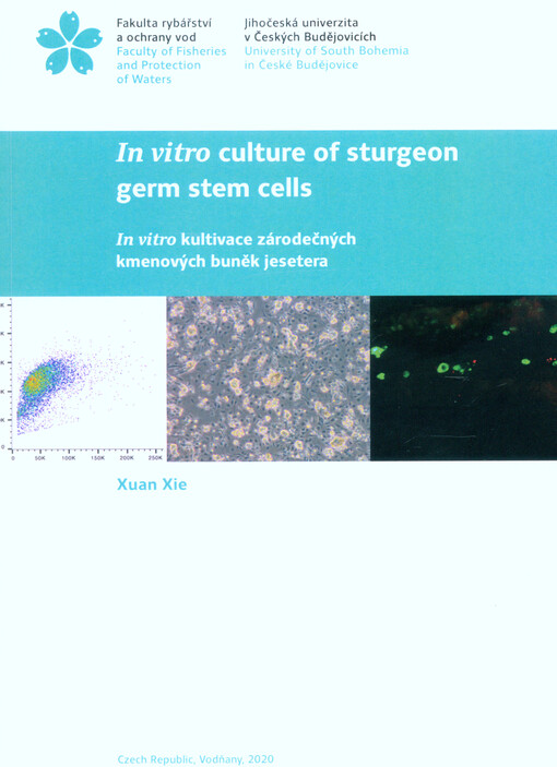 In vitro culture of sturgeon germ stem cells = In vitro kultivace zárodečných kmenových buněk jesetera