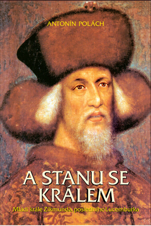 A stanu se králem: mládí krále Zikmunda posledního Lucemburka