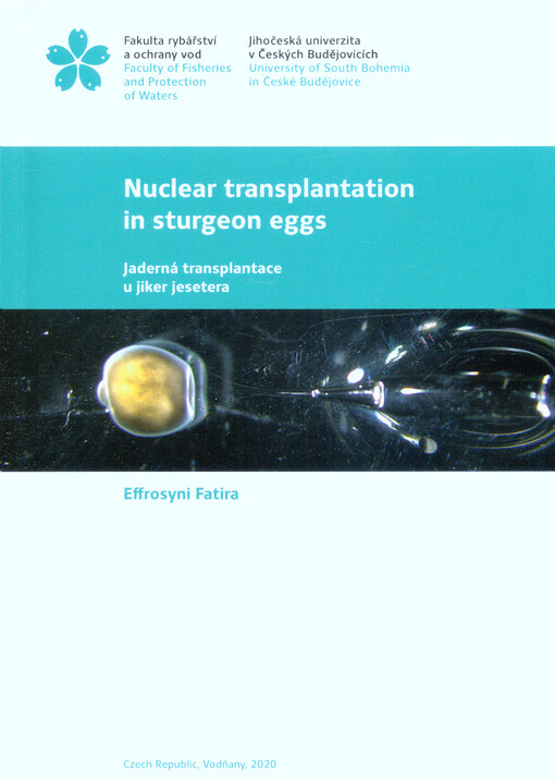 Nuclear transplantation in sturgeon eggs = Jaderná transplantace u jiker jesetera