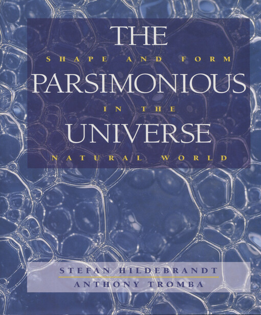 The parsimonious universe : shape and form in the natural world