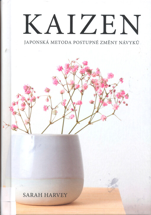 Kaizen : japonská metoda postupné změny návyků