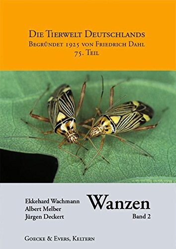 Cimicomorpha : Microphysidae (Flechtenwanzen), Miridae (Weichwanzen)