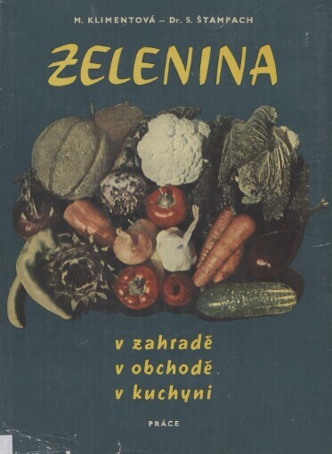 Zelenina v zahradě, v obchodě, v kuchyni