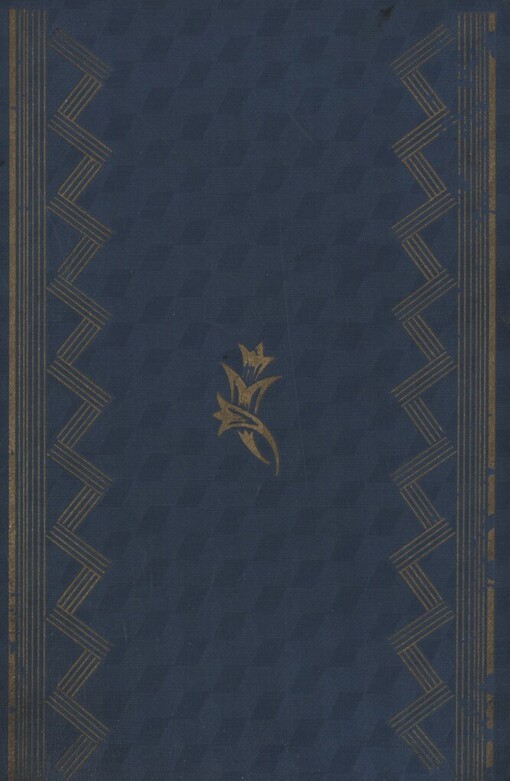 Zlatý hoch: román setmělé klenby rokoka