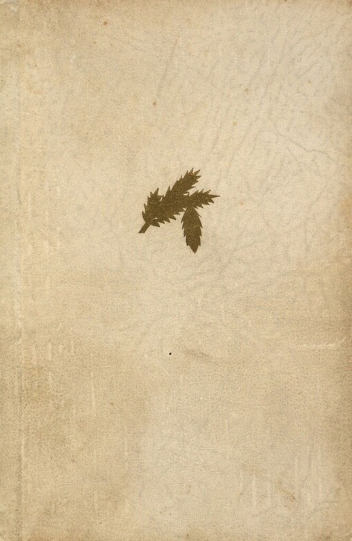 Suplent: Román o čtyřech dílech