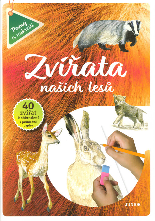 Zvířata našich lesů : 40 zvířat k obkreslení + průhledné papíry