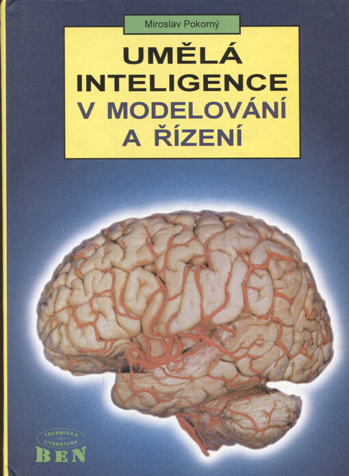 Umělá inteligence v modelování a řízení