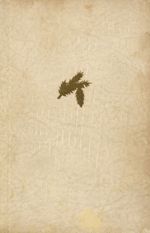 Suplent: Román o čtyřech dílech