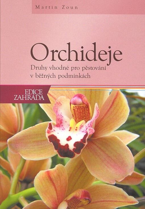 Orchideje: druhy vhodné pro pěstování v domácích podmínkách