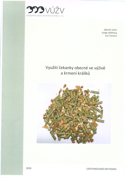 Využití čekanky obecné ve výživě a krmení králíků