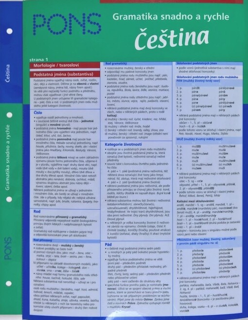 Gramatika snadno a rychle. Čeština