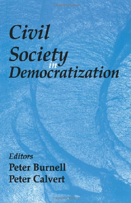 Civil society in democratization