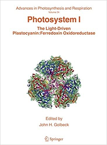 Photosystem I (Advances in Photosynthesis and Respiration)