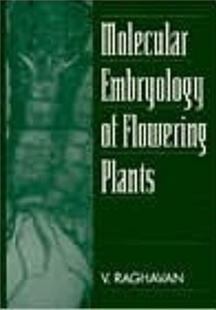 Molecular Embryology of Flowering Plants