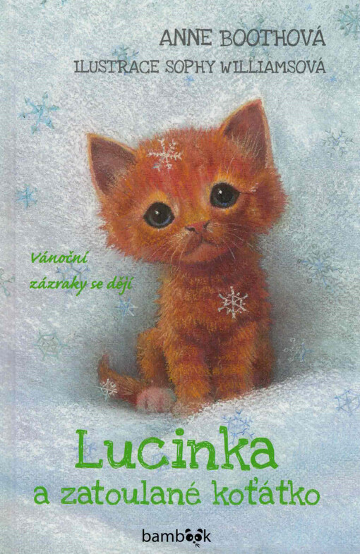 Lucinka a zatoulané koťátko : vánoční zázraky se dějí