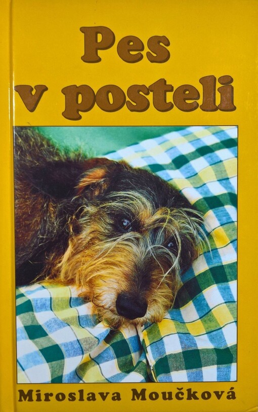 Pes v posteli