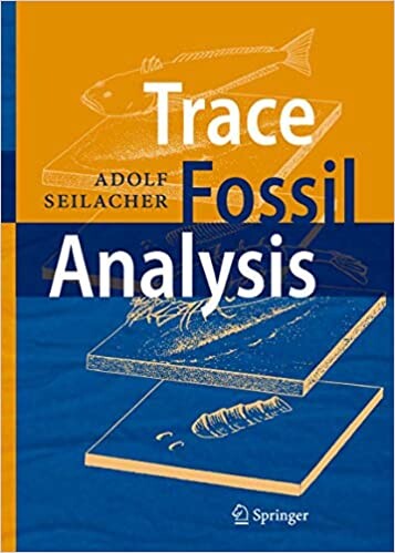 Trace fossil analysis