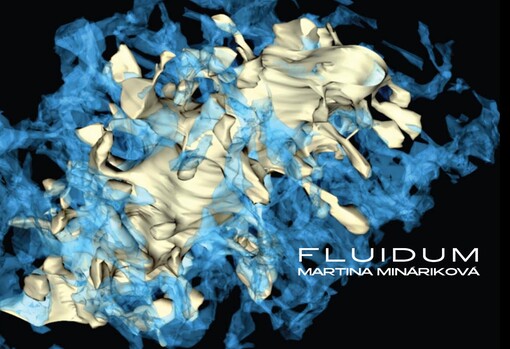 Martina Mináriková : fluidum