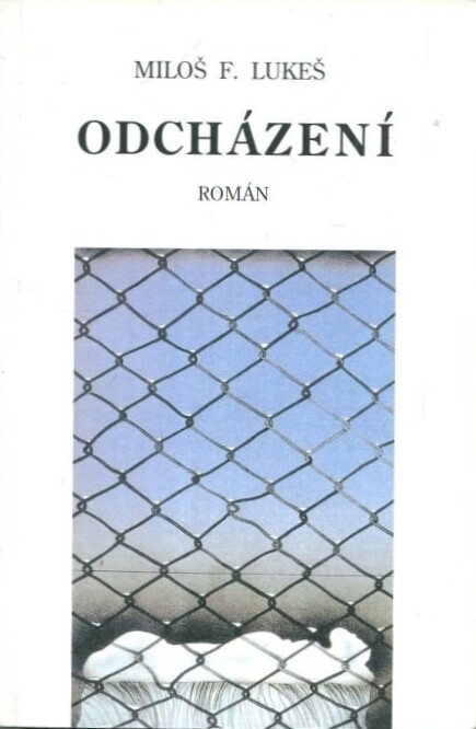 Odcházení : román