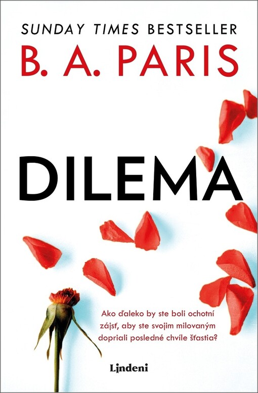 Dilema (SK)