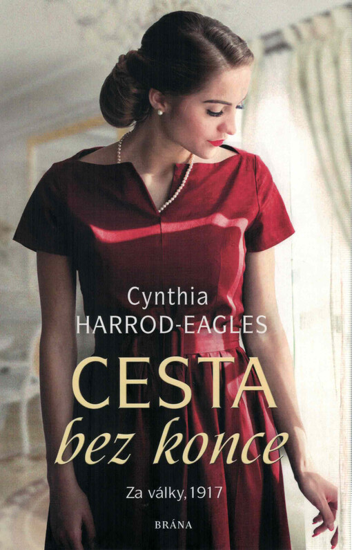 Cesta bez konce : za války, 1917