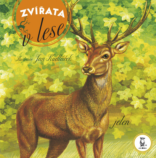 Zvířata - V lese