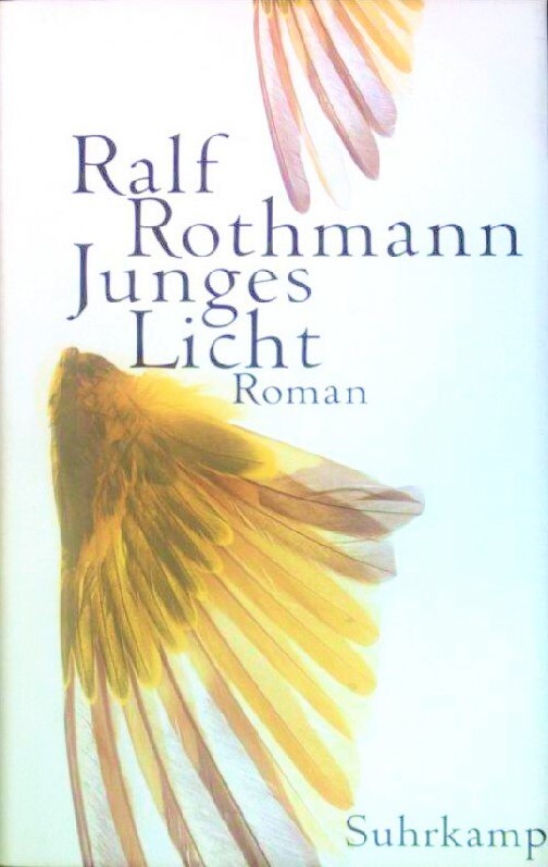 Junges Licht : Roman