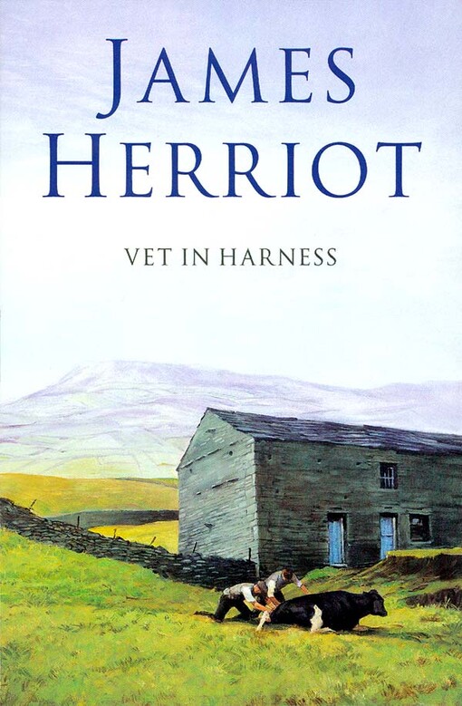 Vet in Harness