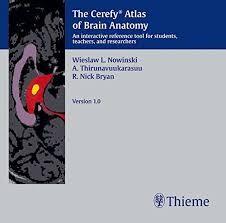 The cerefy atlas of brain anatomy